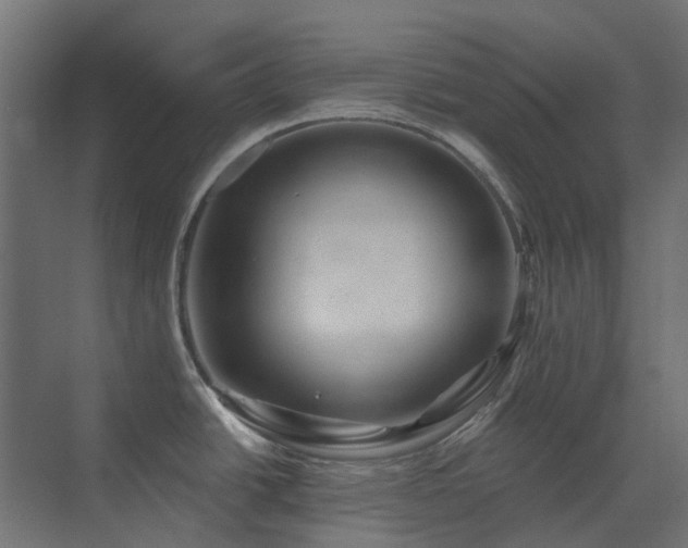 X0000073501438200607311241