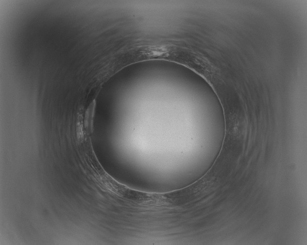 X0000073501442200607311240