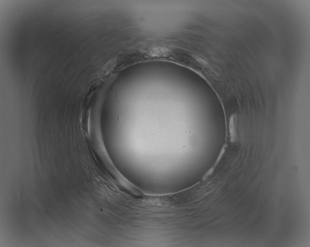 X0000073501443200607311240