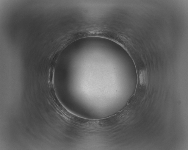 X0000073501444200607311240