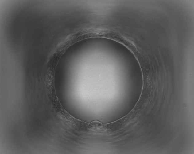X0000073501447200607311240