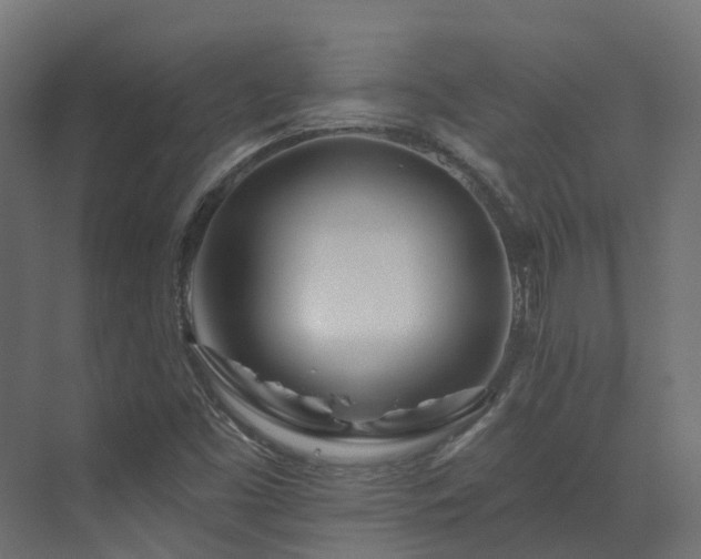 X0000073501453200607311240