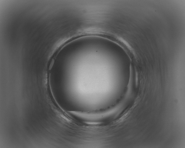X0000073501461200607311240