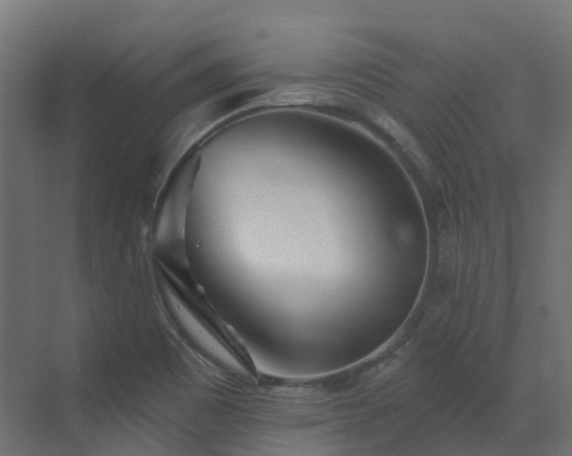 X0000073501465200607311240