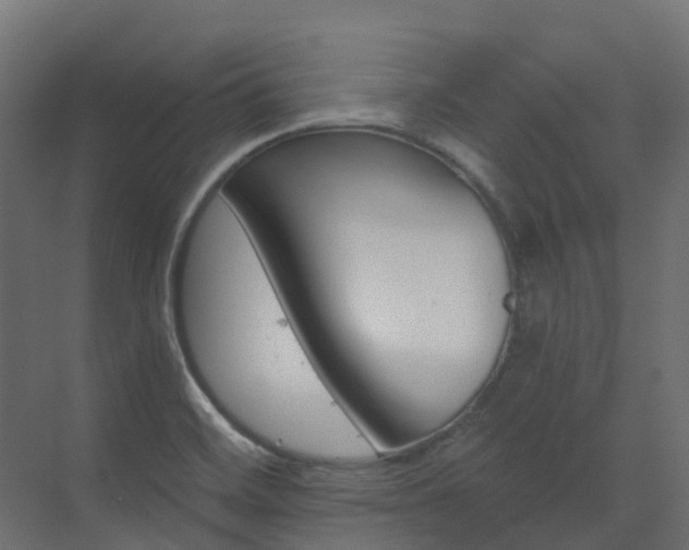 X0000073501468200607311240