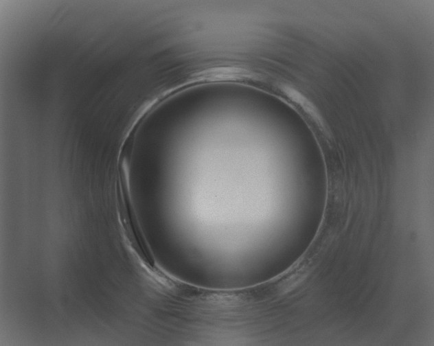 X0000073501473200607311240