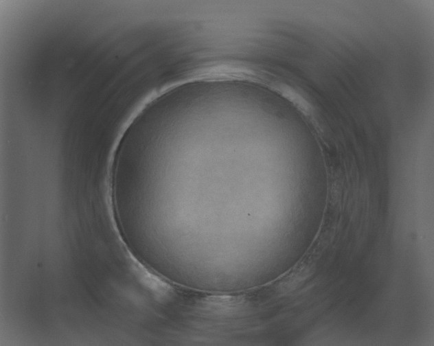 X0000073501478200607311240