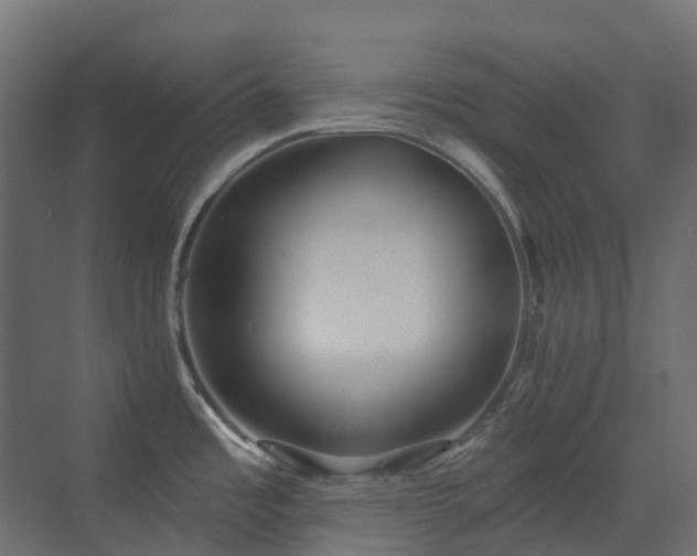 X0000073501485200607311239