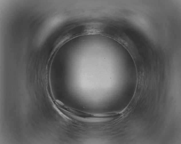 X0000073501487200607311239