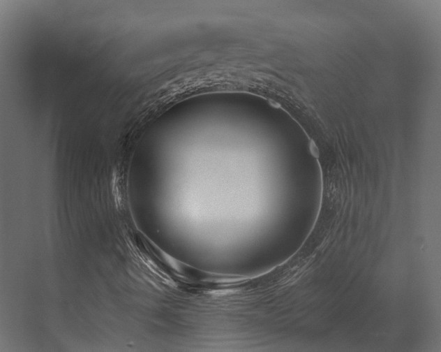 X0000073501490200607311239