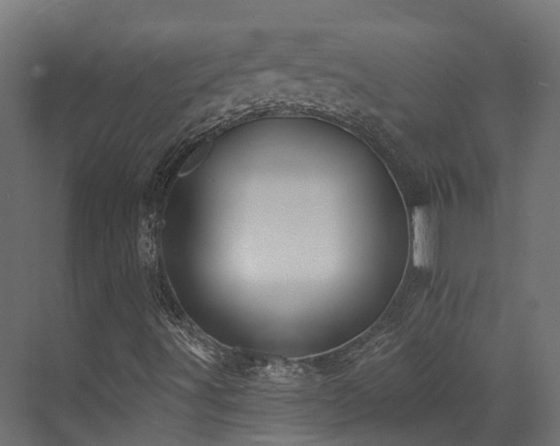 X0000073501491200607311239