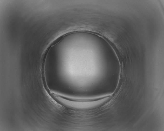 X0000073501500200607311239