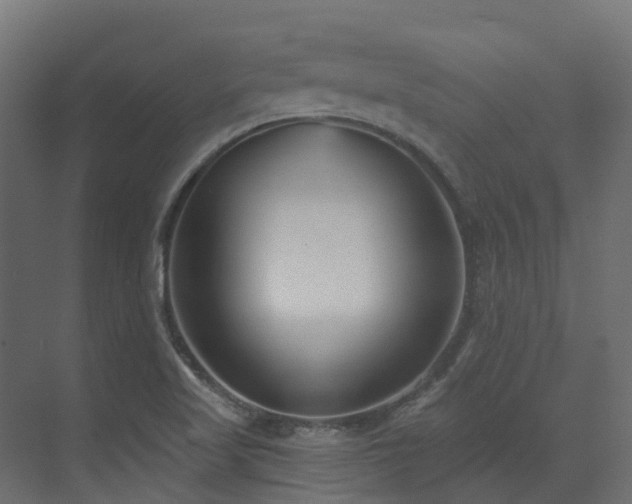 X0000073501509200607311239