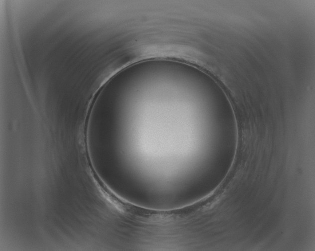 X0000073501521200607311239