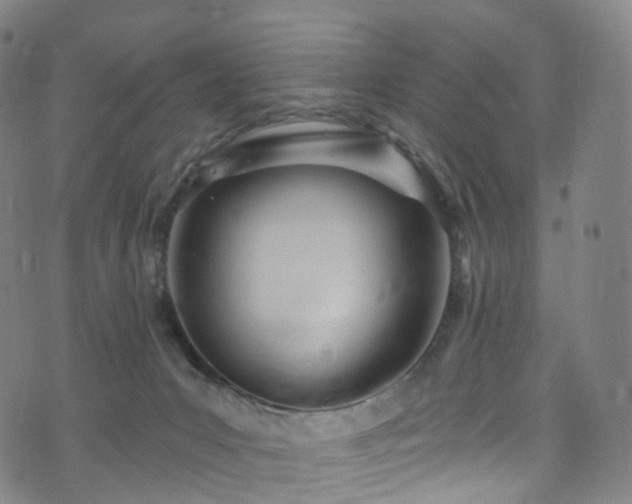 X0000073500031200608071033