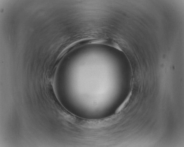 X0000073500037200608071033