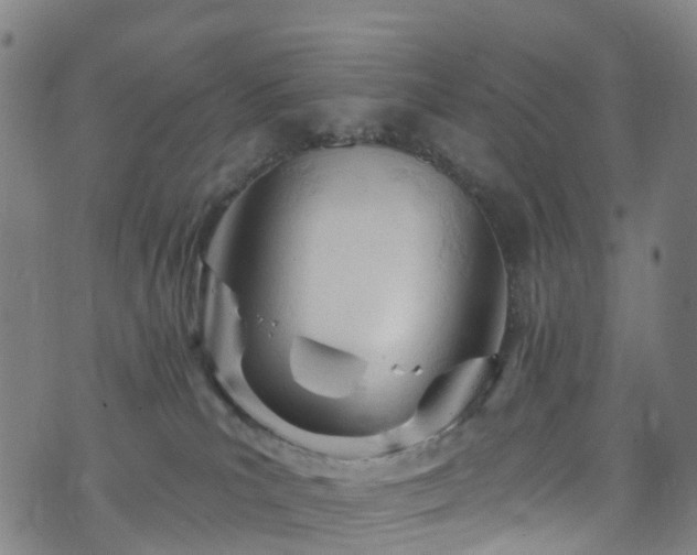 X0000073500039200608071033