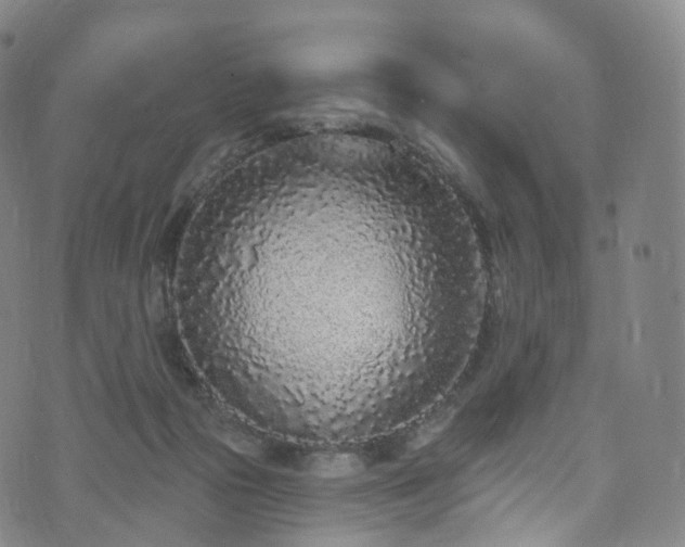 X0000073500169200608071031