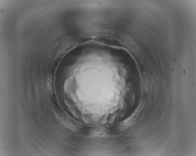 X0000073500175200608071031
