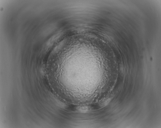 X0000073500181200608071031