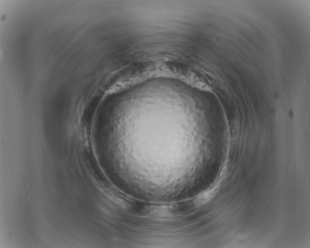 X0000073500182200608071031