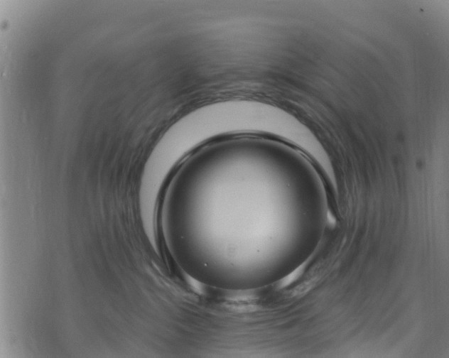 X0000073500284200608071030