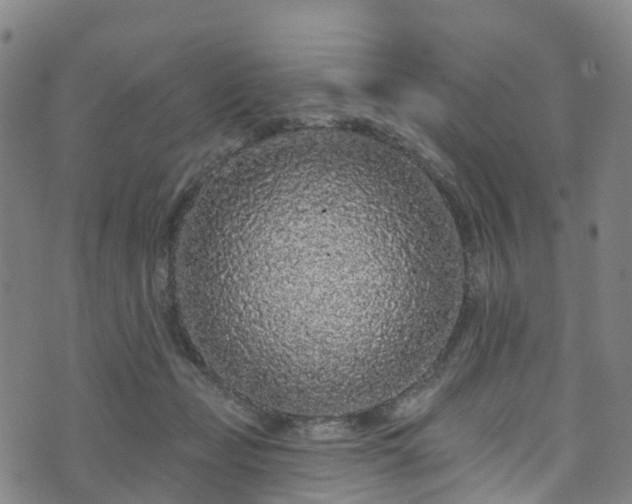 X0000073500365200608071028