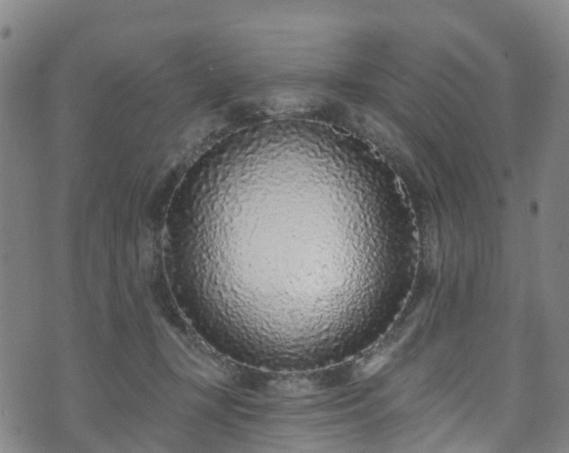 X0000073500367200608071028
