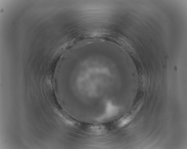 X0000073500415200608071027