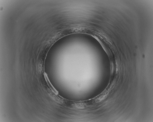 X0000073500417200608071027