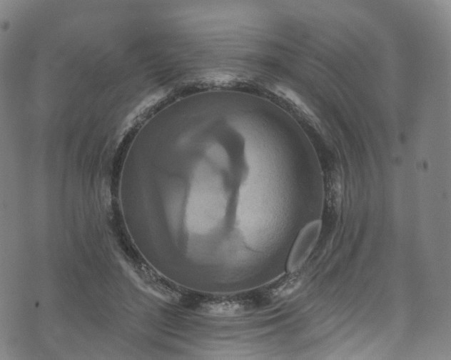 X0000073500500200608071026