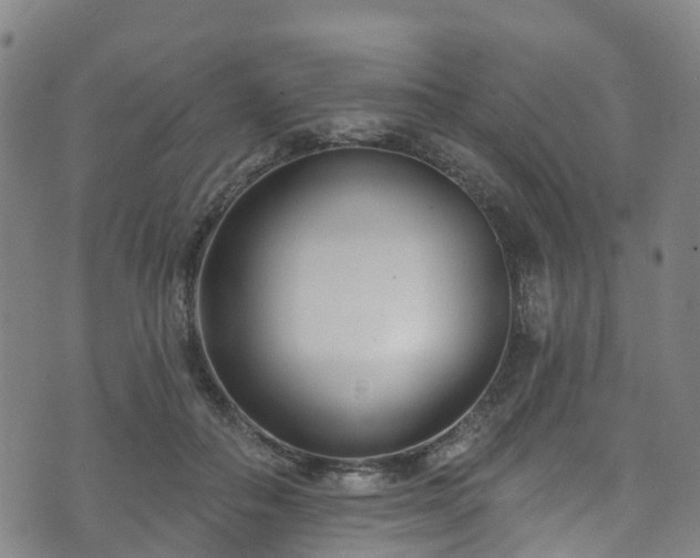 X0000073500506200608071026