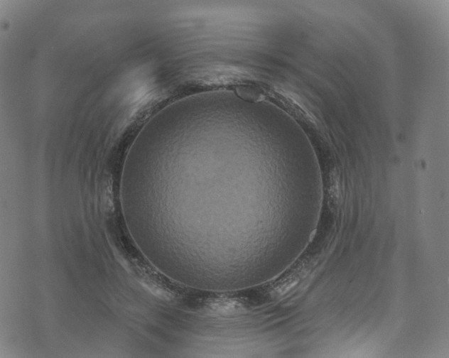 X0000073500547200608071025