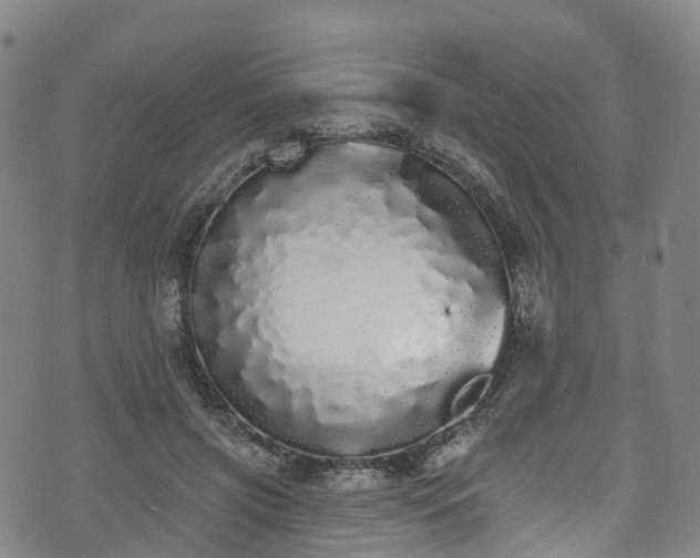X0000073500549200608071025