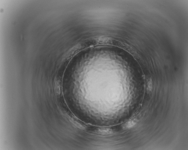X0000073500666200608071024