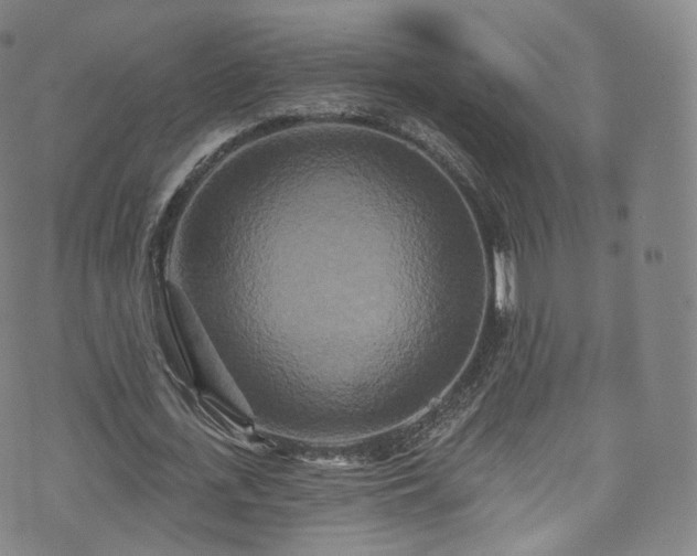 X0000073500723200608071021