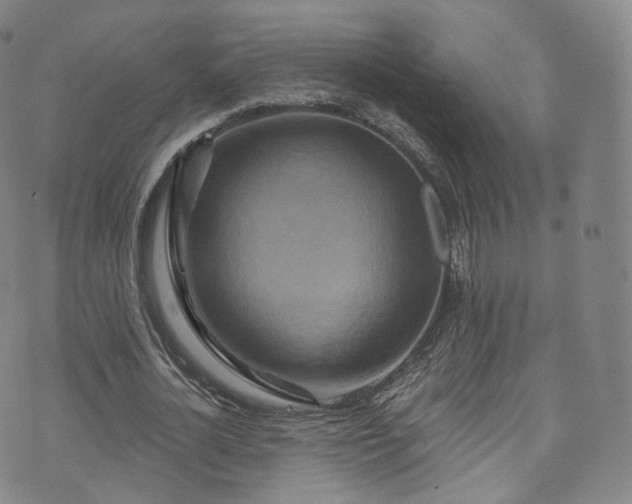 X0000073500724200608071021