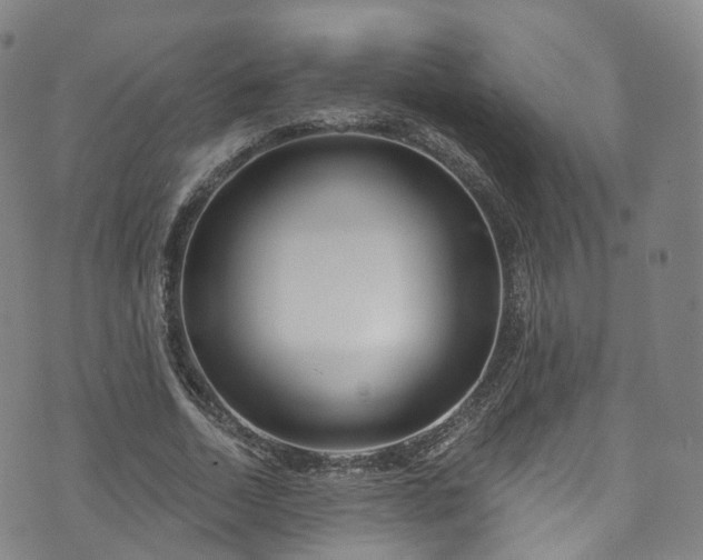 X0000073500730200608071021