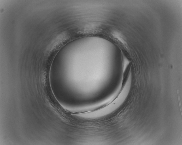 X0000073500735200608071022