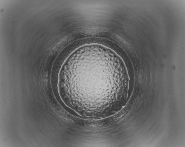 X0000073500737200608071022
