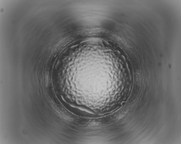 X0000073500741200608071022