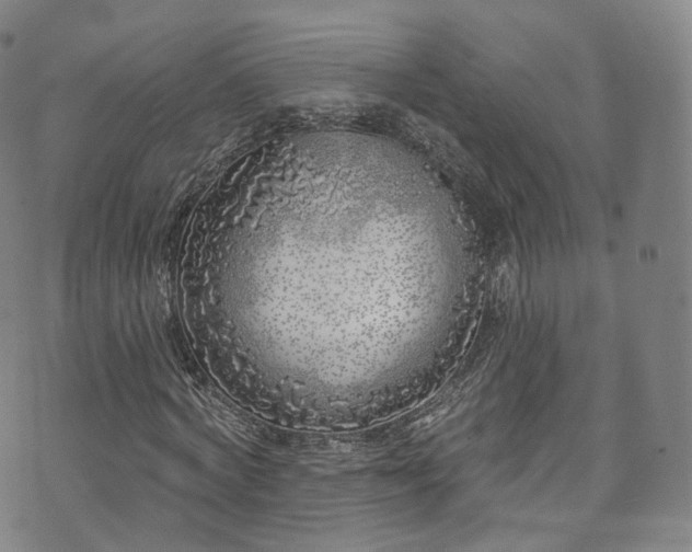 X0000073500772200608071021