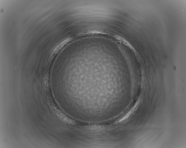 X0000073500785200608071021