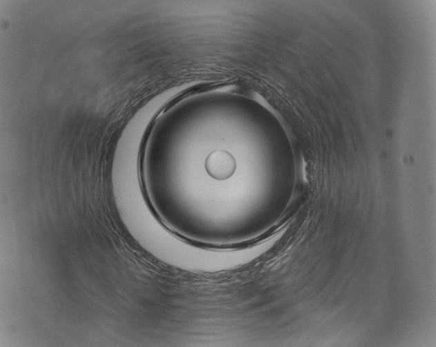 X0000073500818200608071020