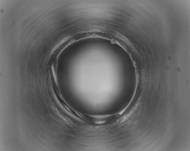 X0000073500826200608071020