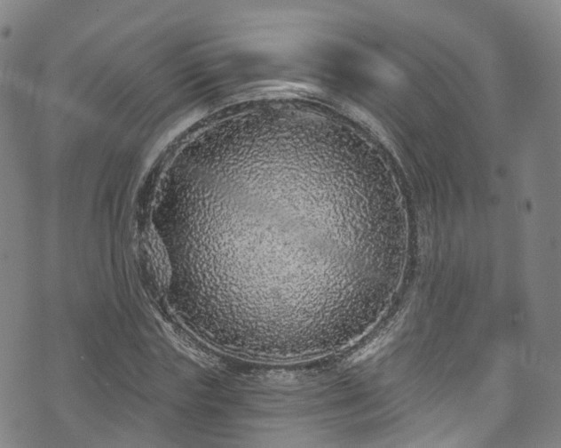 X0000073500827200608071020