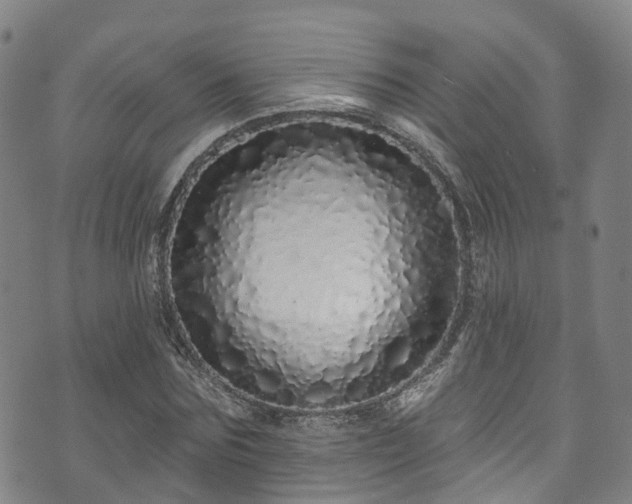 X0000073500875200608071020