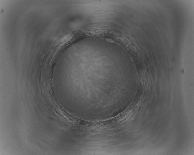 X0000073501009200608071017
