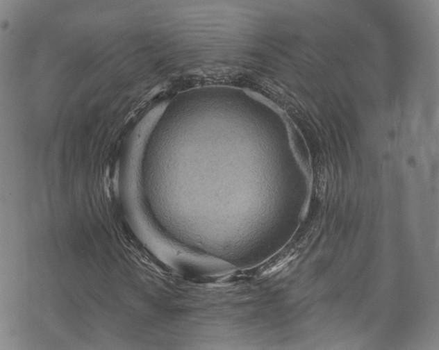 X0000073501010200608071017