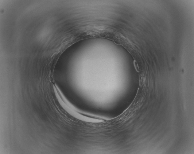 X0000073501012200608071017